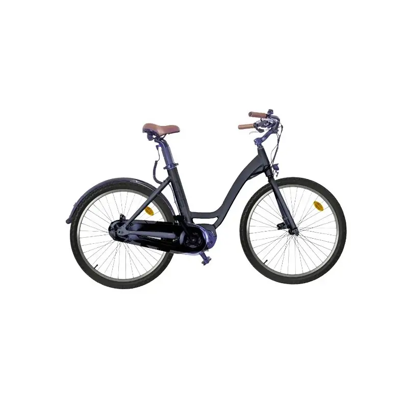 Lexgo CT26 bicicletta elettrica Nero 66 cm (26