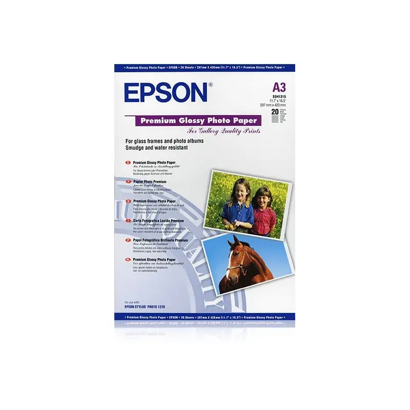 PSK MEGA STORE - Epson Carta fotografica lucida Premium - 0010343819788 -  EPSON - 37,79 €