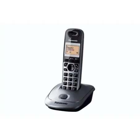 Panasonic KX-TG2511 DECT-Telefon, Anruferkennung, Titan