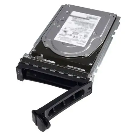 DELL 400-AUUQ interne Festplatte 3,5 Zoll 2 TB NL-SAS