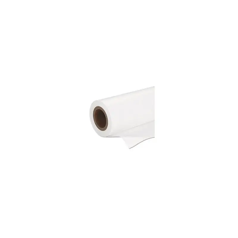 Image of Epson Premium SemiGloss Photo Paper(170), in rotoli da 41. 91 cm x 30. 48m (16, 5" 100').