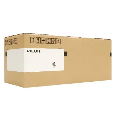 Ricoh B2242042 Original Druckertrommel 1 Stk
