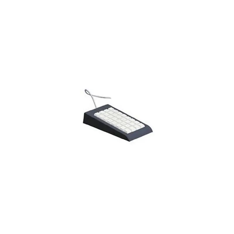 Image of Epson 7106589 tastiera USB Grigio