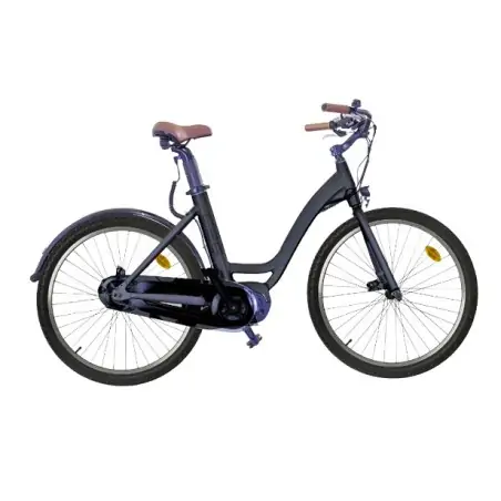 Lexgo CT26 bicicletta elettrica Nero 66 cm (26") 25 kg