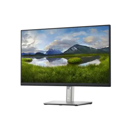 dell-p-series-monitor-24-p2422h-2.jpg