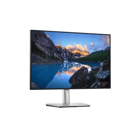 dell-ultrasharp-u2421e-led-display-61-2-cm-24-1-1920-x-1200-pixel-wuxga-lcd-argento-3.jpg