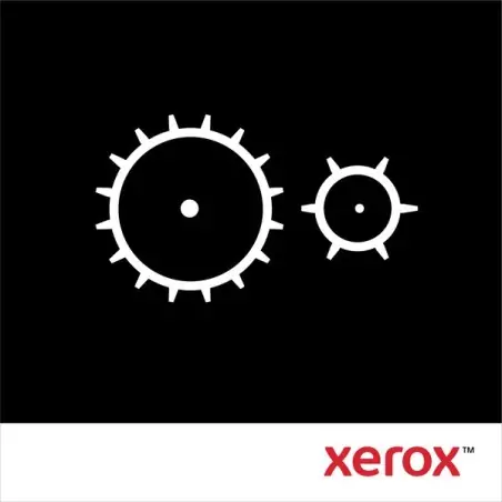 Xerox Stampante Phaser 7800, UNITÀ PULIZIA IBT