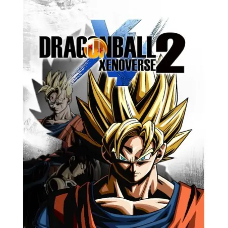 BANDAI NAMCO Entertainment Dragon Ball Xenoverse 2, PS4 Standaard PlayStation 4