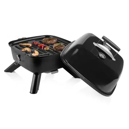 princess-01-112256-01-001-barbecue-ibrido-portatile-2.jpg