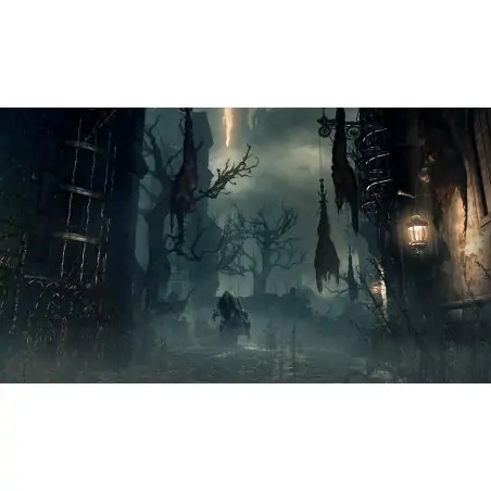 sony-bloodborne-playstation-4-standard-anglais-italien-15.jpg