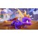 activision-spyro-reignited-trilogy-switch-standard-nintendo-5.jpg