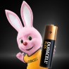 duracell-plus-100-batterie-a-usage-unique-aa-alcaline-2.jpg