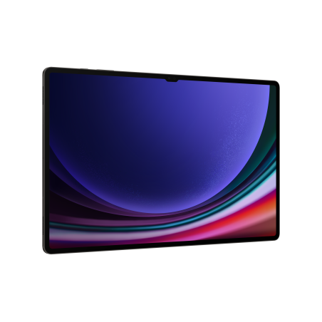 samsung-galaxy-tab-s9-ultra-tablet-android-14-6-pollici-dynamic-amoled-2x-wi-fi-ram-12-gb-256-13-graphite-4.jpg