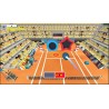 microids-instant-sports-tennis-standard-nintendo-switch-15.jpg