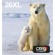 epson-polar-bear-multipack-4-colours-26xl-easymail-1.jpg