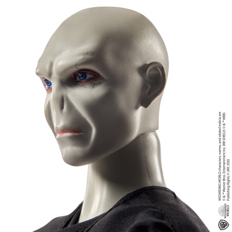 mattel-harry-potter-poupees-voldemort-et-5.jpg