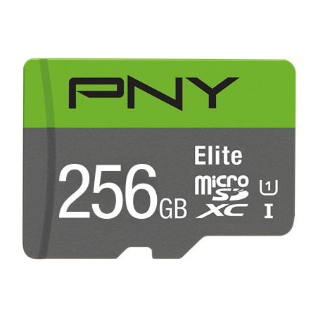 pny-elite-256-gb-microsdxc-uhs-i-classe-10-1.jpg