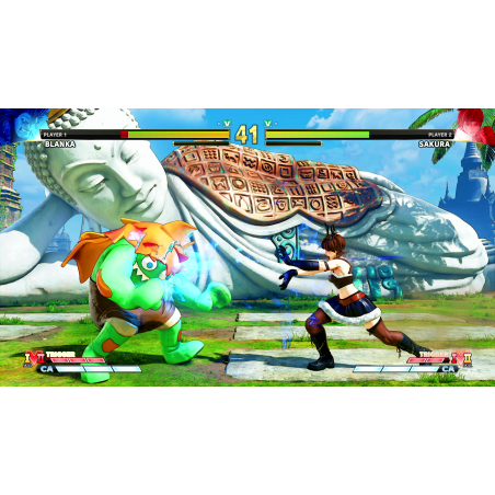 capcom-street-fighter-v-champion-edition-completa-playstation-4-10.jpg