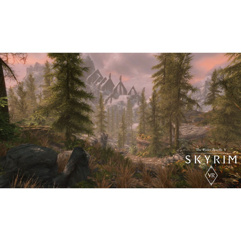 Bethesda The Elder Scrolls V : Skyrim VR Standard PlayStation 4