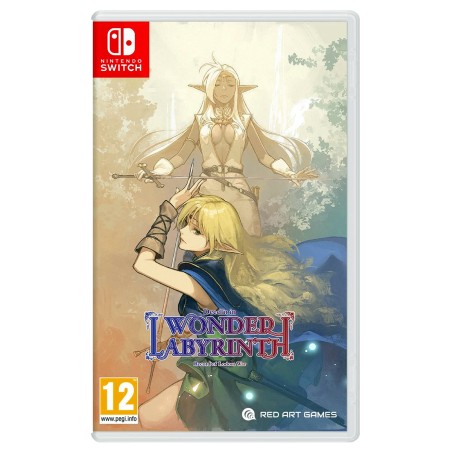take-two-interactive-record-of-lodoss-war-deedlit-in-wonder-labyrinth-switch-1.jpg