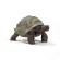 schleich-wild-life-tortue-geante-4.jpg