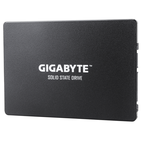 gigabyte-gp-gstfs31256gtnd-3.jpg