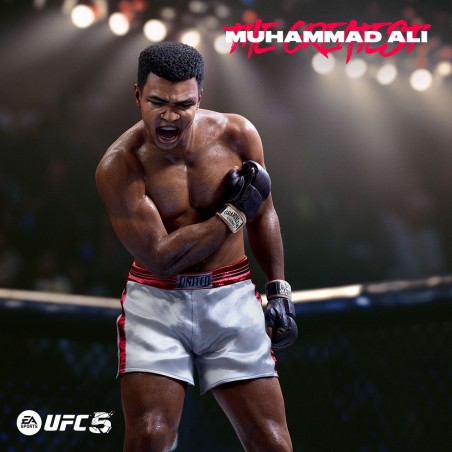 Electronic Arts EA Sports UFC 5 Standaard PlayStation 5