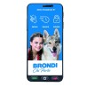 Brondi 10279080 smartphone 14,5 cm (5.7") Dual SIM Android 12 Go edition 4G USB Type-C 2 GB 16 GB 2800 mAh Preto