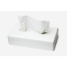 Tork 270023 distributeur de serviettes en papier Blanc