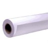 Epson Premium Semigloss Photo Paper Roll, 16" x 30,5 m, 250g m²