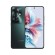 OPPO Reno 11 F 17 cm (6.7") Dual-SIM Android 14 5G USB Typ-C 8 GB 256 GB 5000 mAh Grün