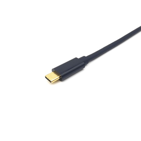 Equip 133427 adaptador de cabo de vídeo 2 m USB Type-C DisplayPort Cinzento