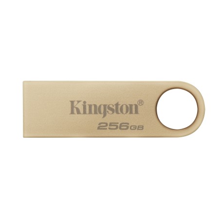 Kingston Technology DataTraveler 256Go 220Mo s Clé USB 3.2 Gen 1 Métal SE9 G3